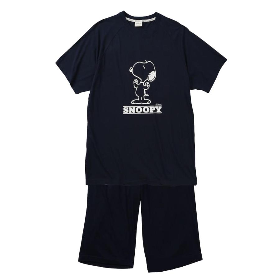 Tシャツ 上下 スヌーピー 大きいサイズ メンズ SNOOPY セットアップ 夏