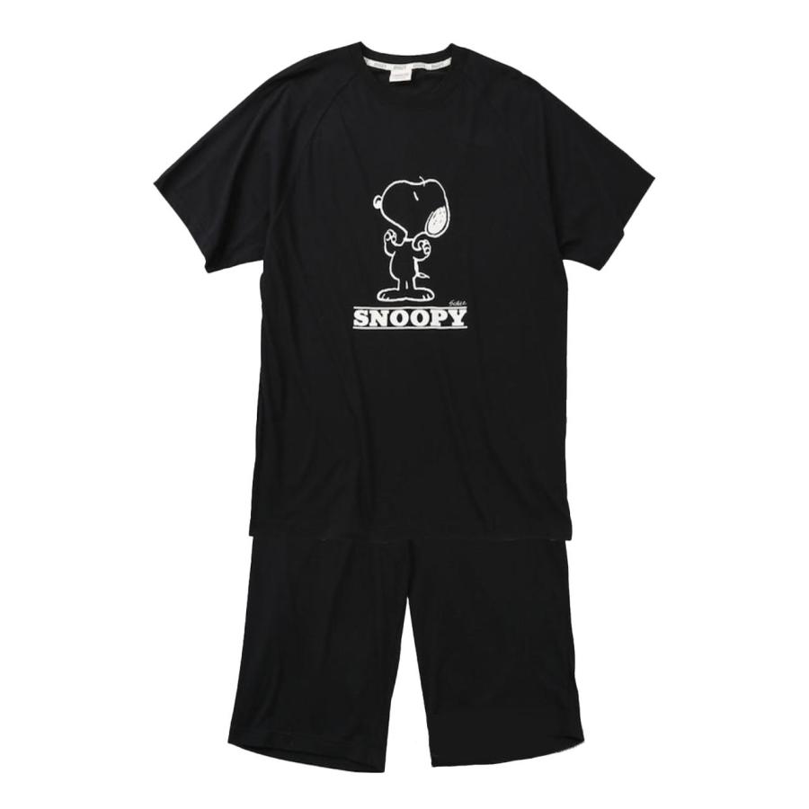 Tシャツ 上下 スヌーピー 大きいサイズ メンズ SNOOPY セットアップ 夏