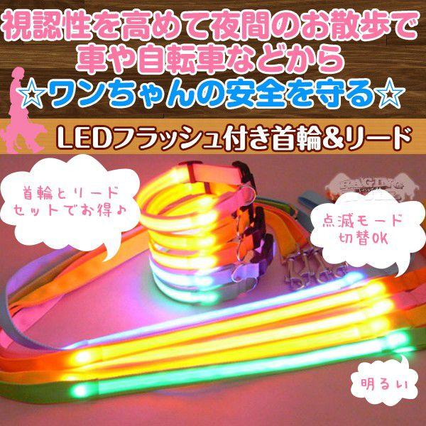 Ledライトフラッシュ付き光る首輪 リードセット グリーン 犬用 夜間を安全にお散歩