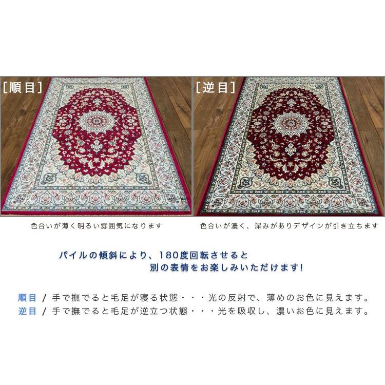 サヤンサヤン シルクタッチ 玄関マット 67×105cm 室内 屋内 高級 感
