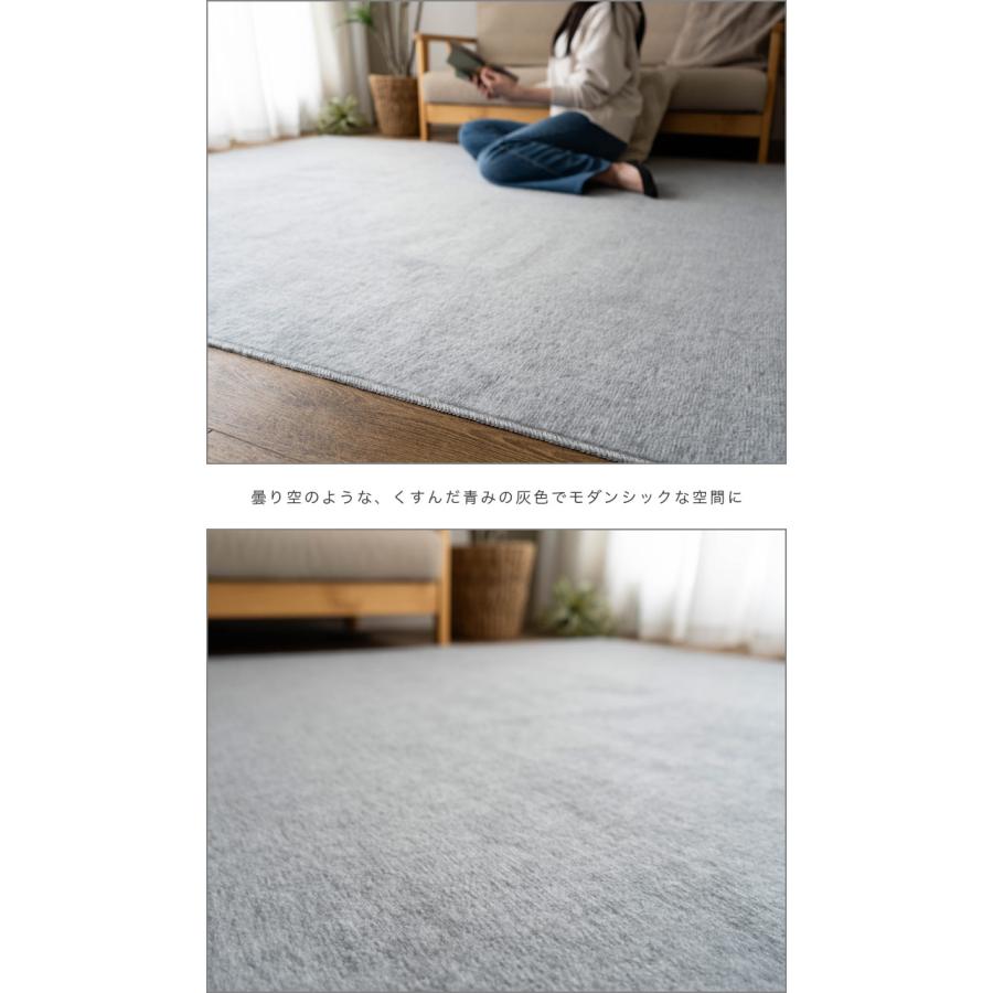 カーペット 3畳 江戸間 防ダニ 抗菌 176&times;261 日本製 ラグマット ラグ 無地 ペット フリーカット おしゃれ 床暖房 絨毯 じゅうたん オールシーズン