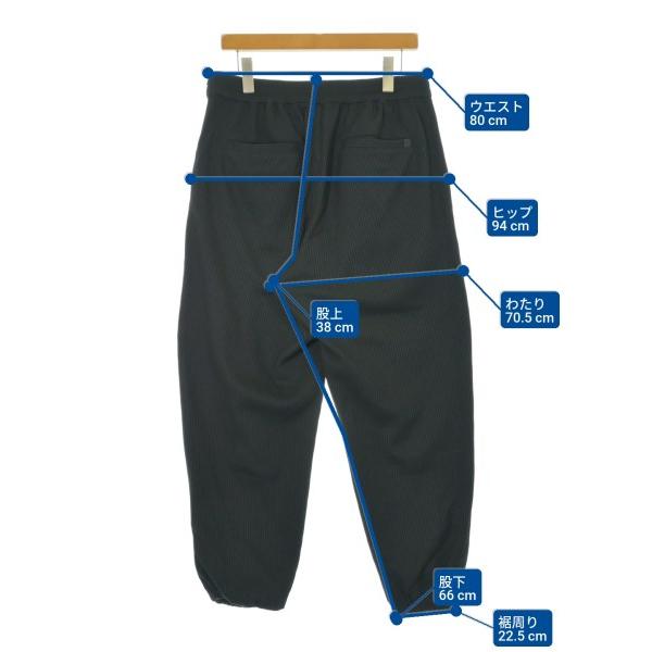 DAIWA PIER39（ダイワ ピア39） パンツ（その他） メンズ 中古 古着