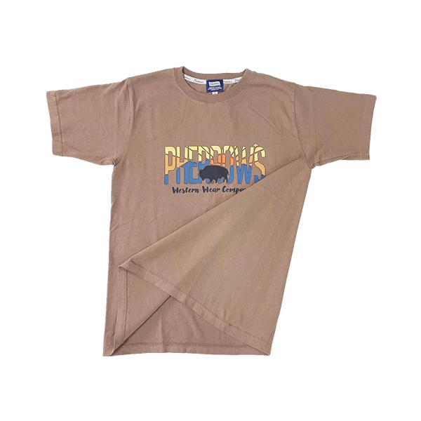 Pherrow's（フェローズ） Pherrow's Tシャツ 25S-PT19 カタログ未掲載