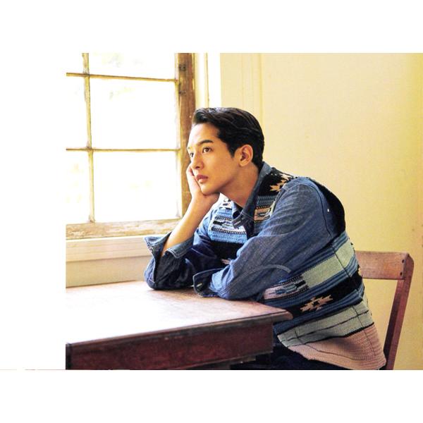 Pherrow's（フェローズ） ベスト 25W-PIV1 インド製 ダリ織