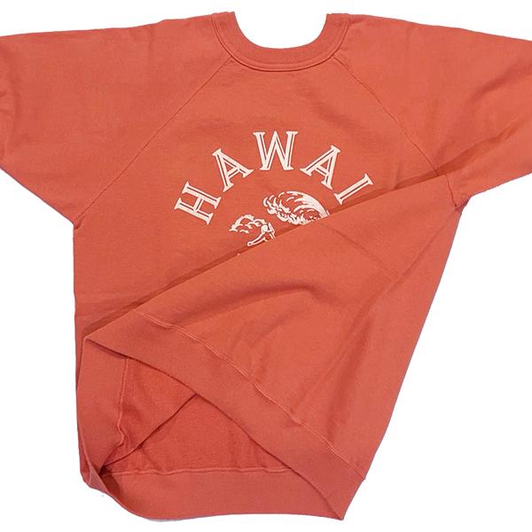 WAREHOUSE（ウエアハウス） スウェット Lot 4104 HAWAII 半袖 SW