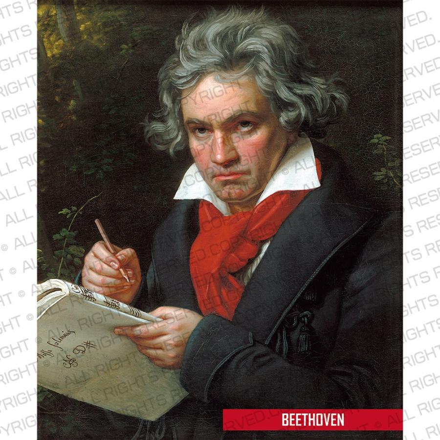 半袖 アートTシャツ】ベートーヴェン ベートーベン Tシャツ 肖像画