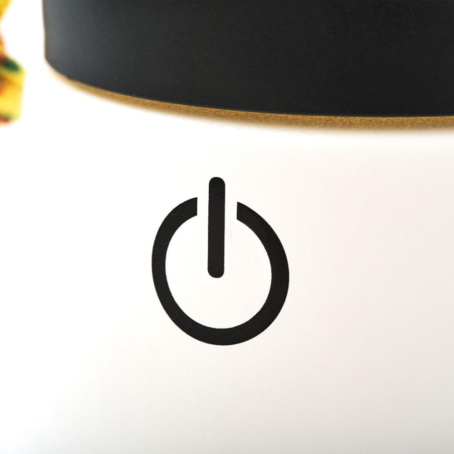 CHUMS チャムス キャンパーボトルLEDライト ランタン ステンレス