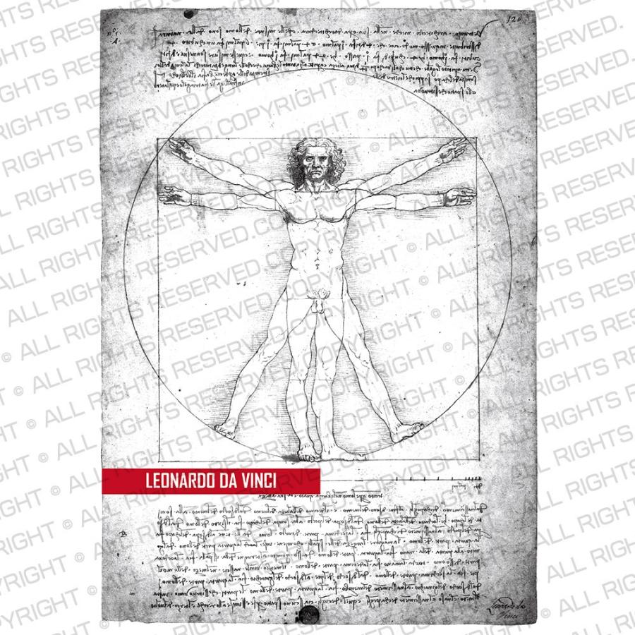 90s レオナルドダヴィンチ 人体図 アート アーカイブプリントTシャツ 90s VINTAGE Leonardo da Vinci ウィトルウィウス的人体図