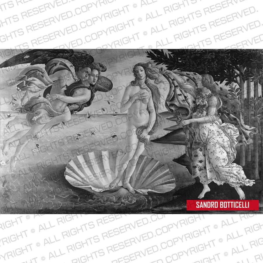 半袖 アートTシャツ】サンドロ・ボッティチェッリ Tシャツ ヴィーナス