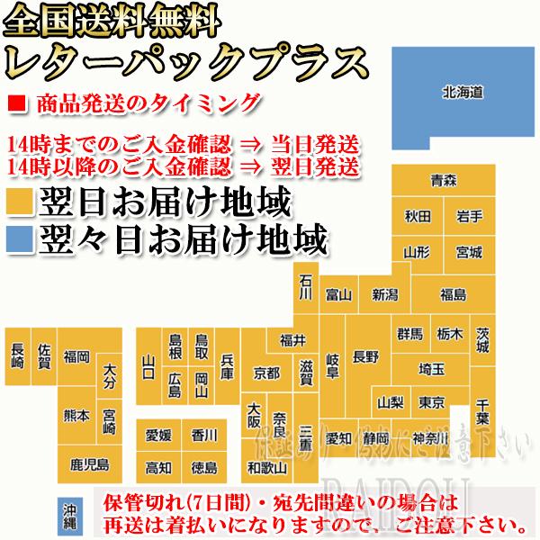 インプレッサ H9.1-H12.7 GC8 フォグランプ H3 LED 2色切り替え ツイン ホワイト イエロー｜raidou｜07