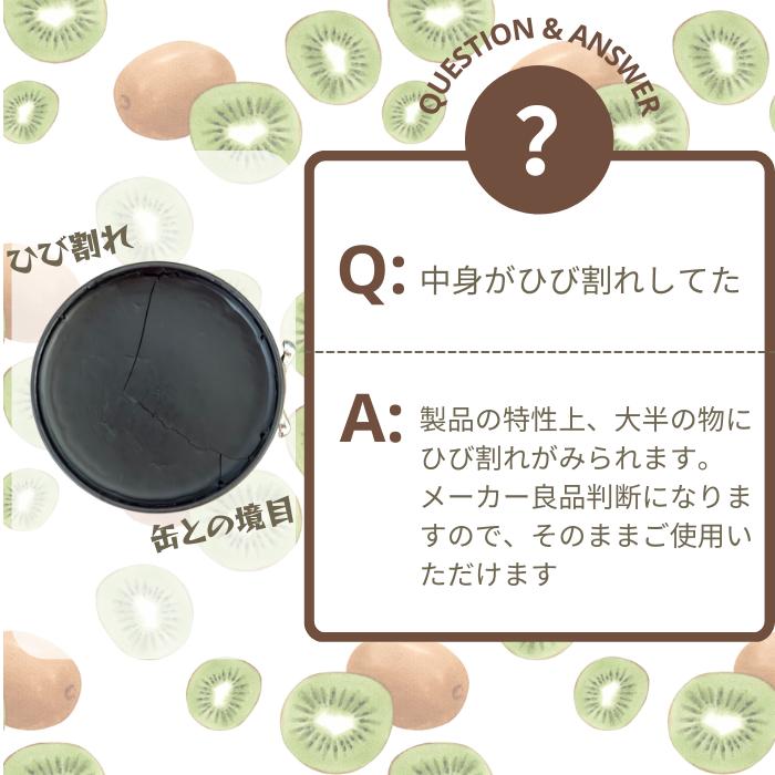 KIWI（キィウイ） シューケア 靴磨き 靴クリーム キウイ Shoe Polish