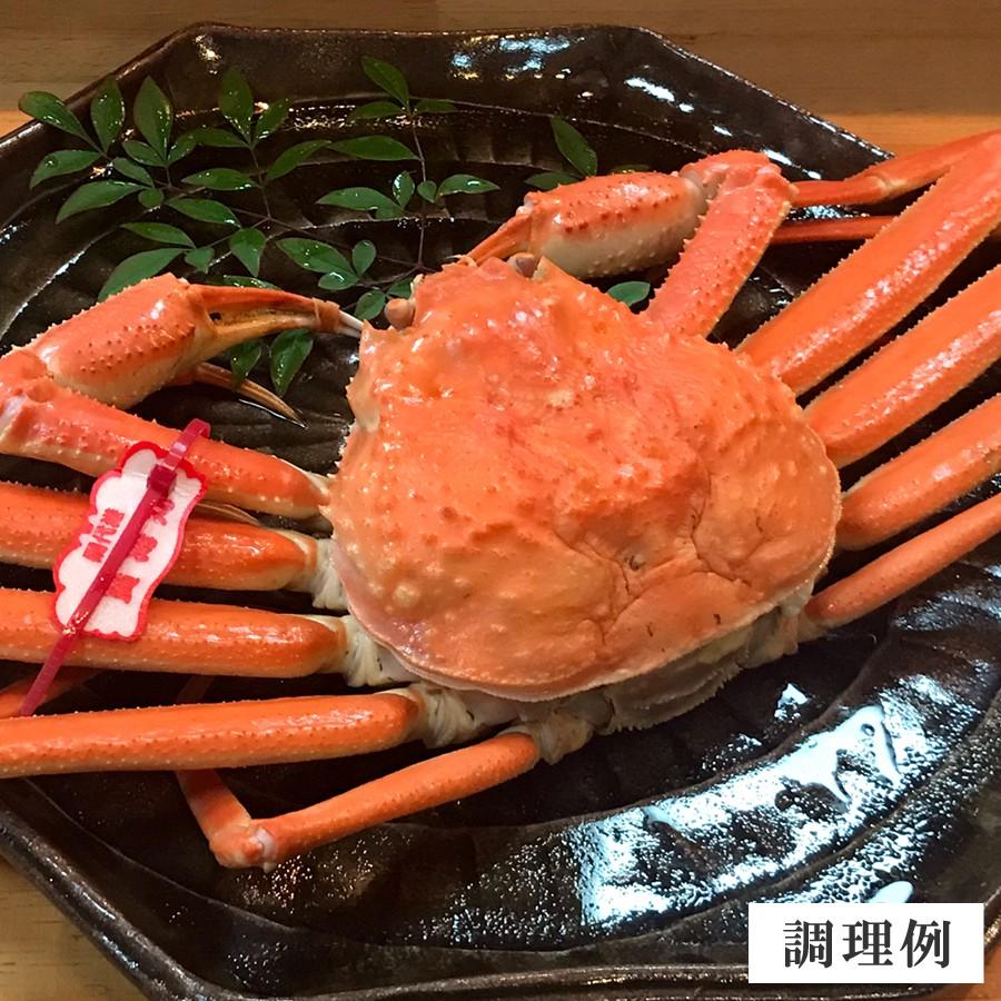 年末年始お届け 年末最終販売 活 松葉ガニ ズワイガニ タグ付き 中サイズ 約500 650g 鳥取県 漁師直送 活きたまま発送 A Hosyo5 Raihoo Online Shop 通販 Yahoo ショッピング