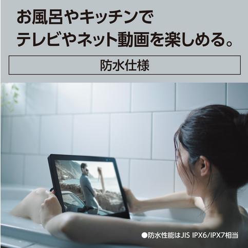 Panasonic プライベート・ビエラ UN-15L12H 5年間延長保証付き
