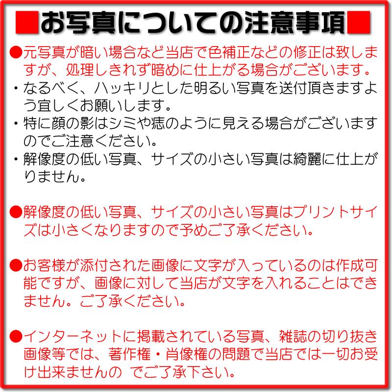 写真プリント名入れおおきめマグカップ　メッセージ　アニマル　赤青黄黒白緑水色　還暦喜寿結婚誕生日祝い　おしゃれ　敬老の日　アウトドア　116080 |  | 10