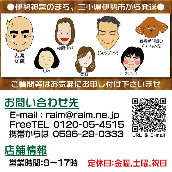 訳ありプレート差し込み/プレート表札／長方形／楕円形・固定サイズ・1.5ミリ厚・両面テープ付(＋550円でマグネット仕様)人気のステンレス調や木目調など |  | 11