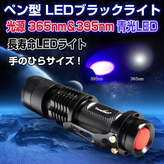 イワタデンキ　ルミエール　ブラック　ライトブルー イワタデンキルミエールブラックライトブルー