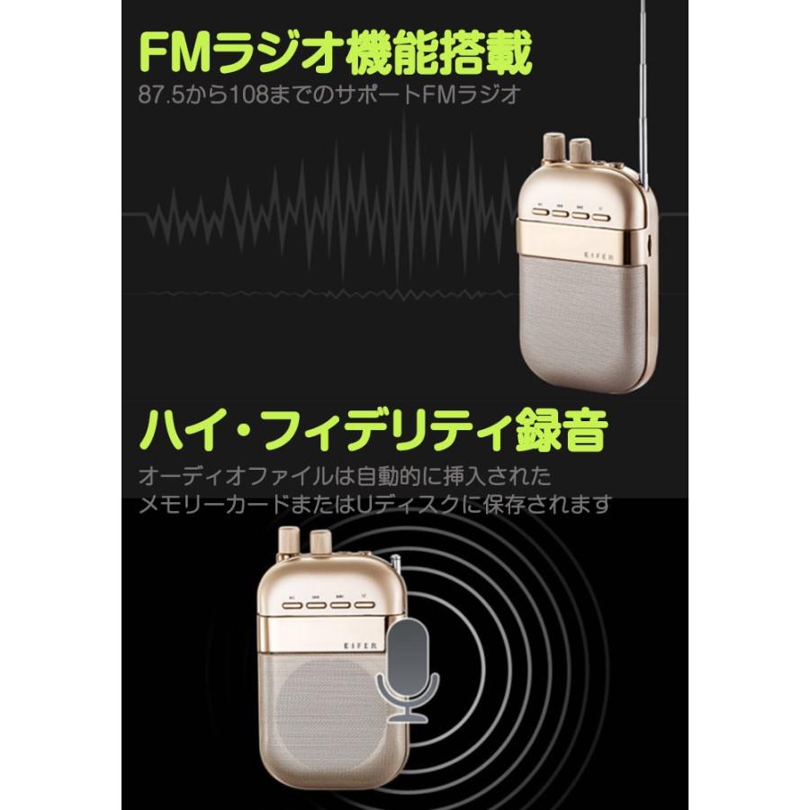 ポータブルプレイヤー ラジオ 音楽 録音 野外 デジタル画面 Sdカード Usb保存 オシャレ オーディオ スピーカー Rim Ls T011 R 07n 来夢house 通販 Yahoo ショッピング