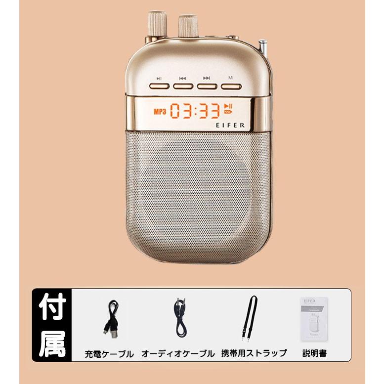 ポータブルプレイヤー ラジオ 音楽 録音 野外 デジタル画面 Sdカード Usb保存 オシャレ オーディオ スピーカー Rim Ls T011 R 07n 来夢house 通販 Yahoo ショッピング