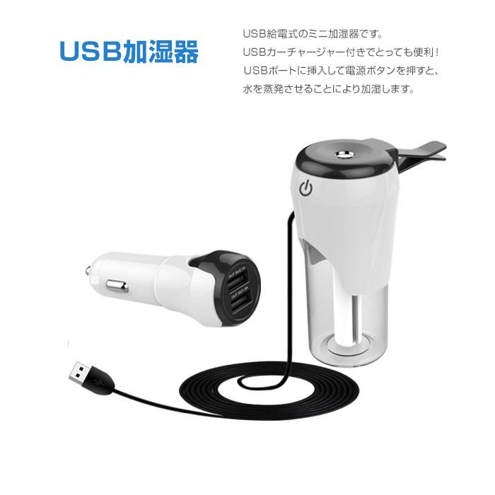車載 ミニ加湿器 超音波式 自動off USBカーチャージャー付き 12V/24V車