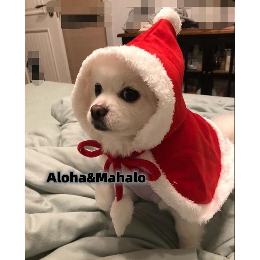 ペット クリスマスマント 猫 犬 クリスマス ケープ 飾り付け 衣装 サンタ マント サンタローブ コスチューム サンタクロース｜rainbow-beach88｜09