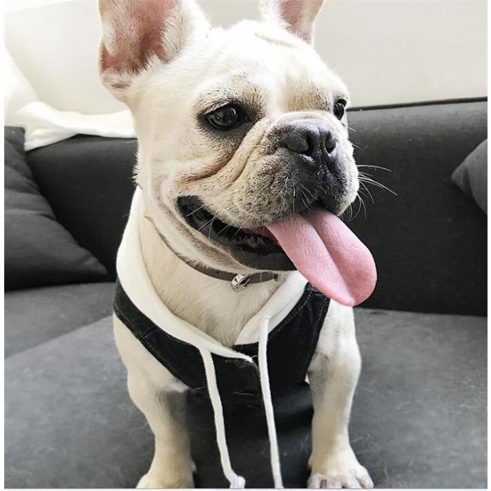 ペット服 犬服 ドッグウェア お出かけに ペットウェア わんちゃん コスプレ クリスマス ハロウィン ペア犬用 超可愛い Alohamahalo Qzqlz140 Aloha Mahalo 通販 Yahoo ショッピング