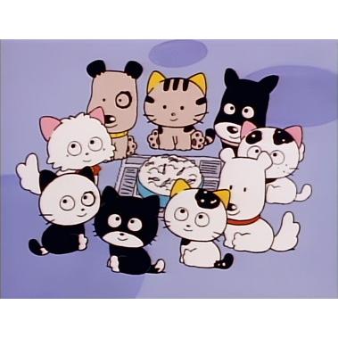 3丁目のタマ うちのタマ知りませんか？ Blu-ray 想い出のアニメライブ