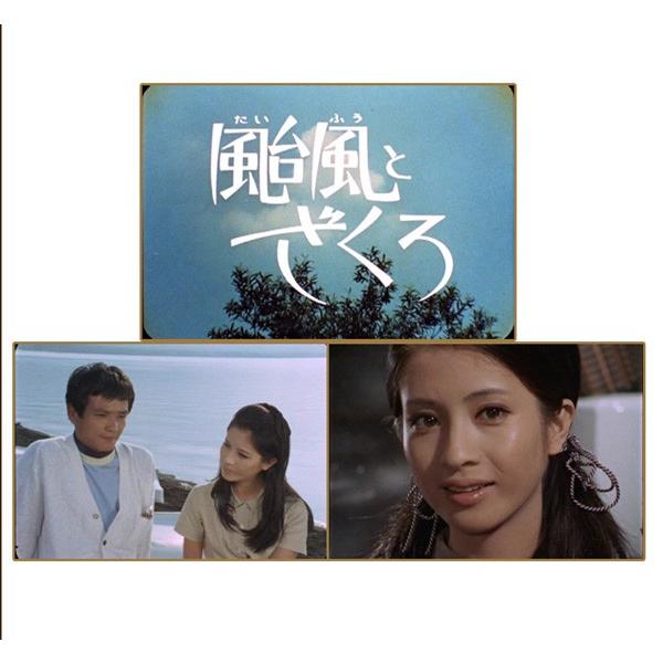 昭和の名作ライブラリー 第49集 颱風とざくろ コレクターズDVD デジタルリ… 昭和の名作ライブラリー 第49集 颱風とざくろ コレクターズDVD