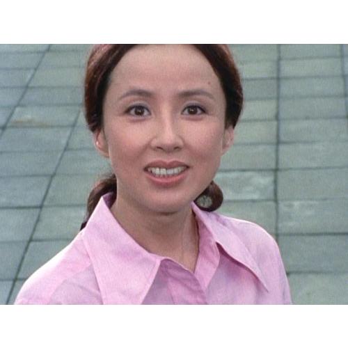 八千草 薫主演 夕陽ヵ丘三号館 コレクターズDVD 昭和の名作ライブ