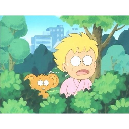 らんぽう コレクターズDVD 想い出のアニメライブラリー 第127集