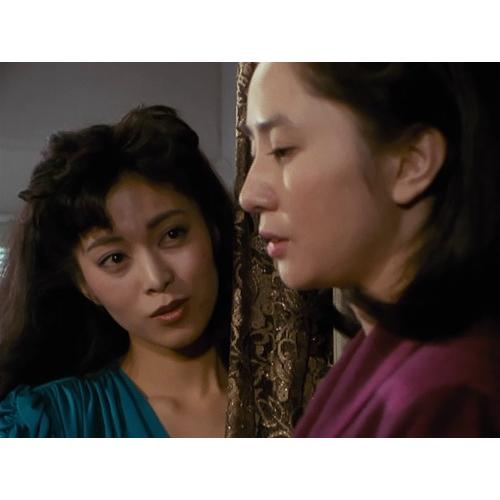 大谷直子主演 松本清張の黒革の手帖 コレクターズDVD HDリマスター版