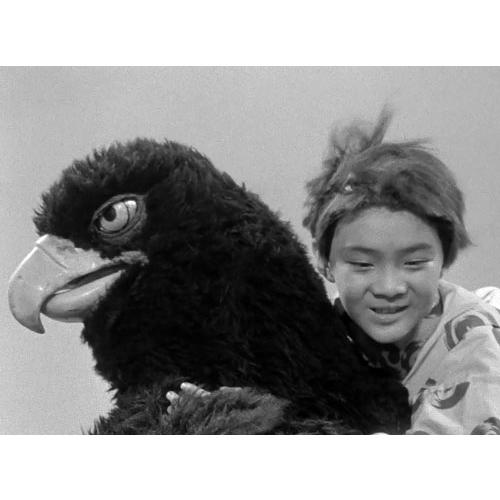 神州天馬侠 Blu-ray 甦るヒーローライブラリー 第41集【レビューを書い