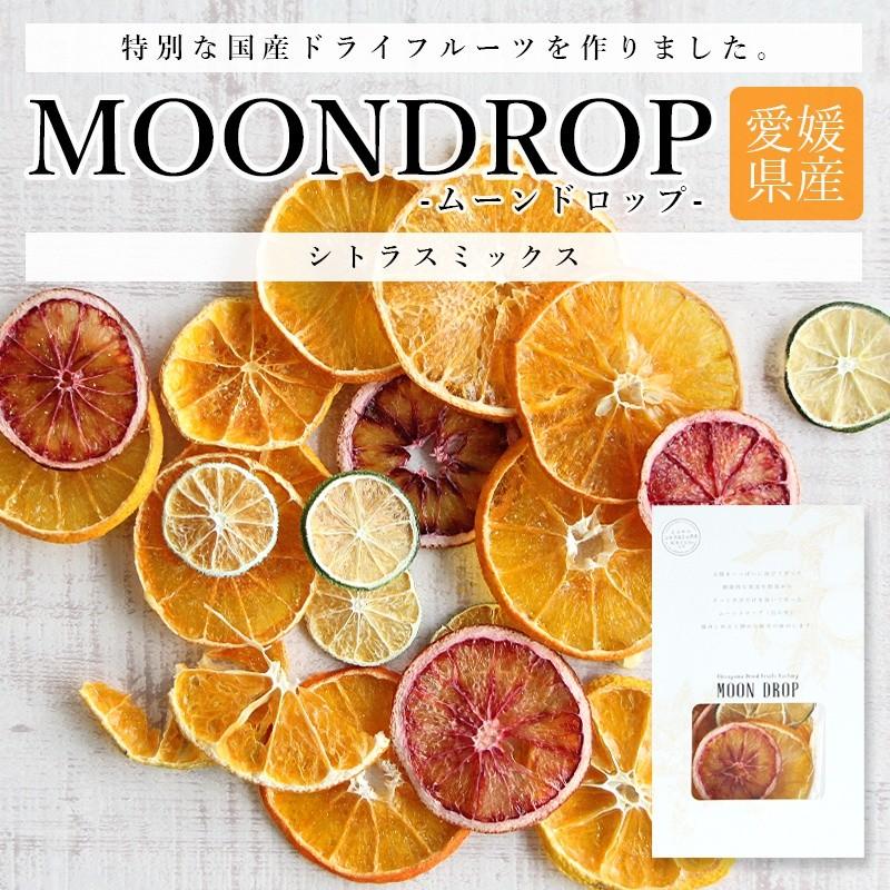 ドライフルーツ シトラス ミックス Moondrop ムーンドロップ 国産 無添加 柑橘 送料無料 げんき本舗 621 レインボーレインボー 通販 Yahoo ショッピング