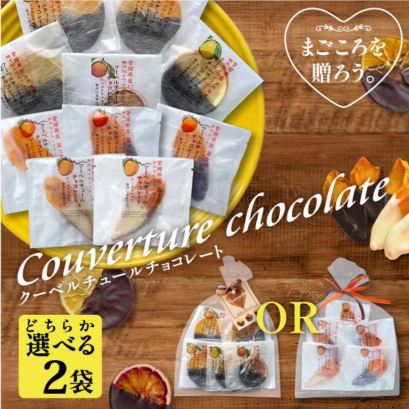 ドライフルーツ チョコ 国産 無添加 柑橘 柿 クーベルチュール チョコレート 22 選べる2個セット バレンタイン ホワイトデー げんき本舗 フルーツ