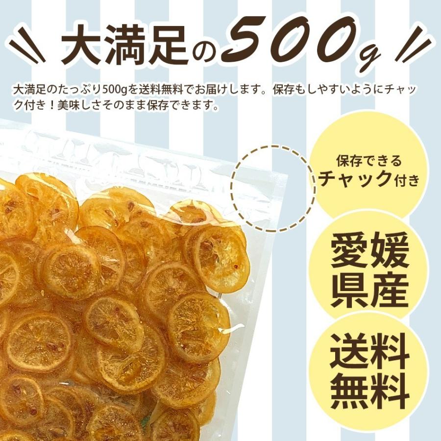 大容量 ドライフルーツ 500g 国産 レモン ドライレモン 柑橘 業務用 おやつ 美容 健康 送料無料 げんき本舗｜rainbow-rainbow｜04