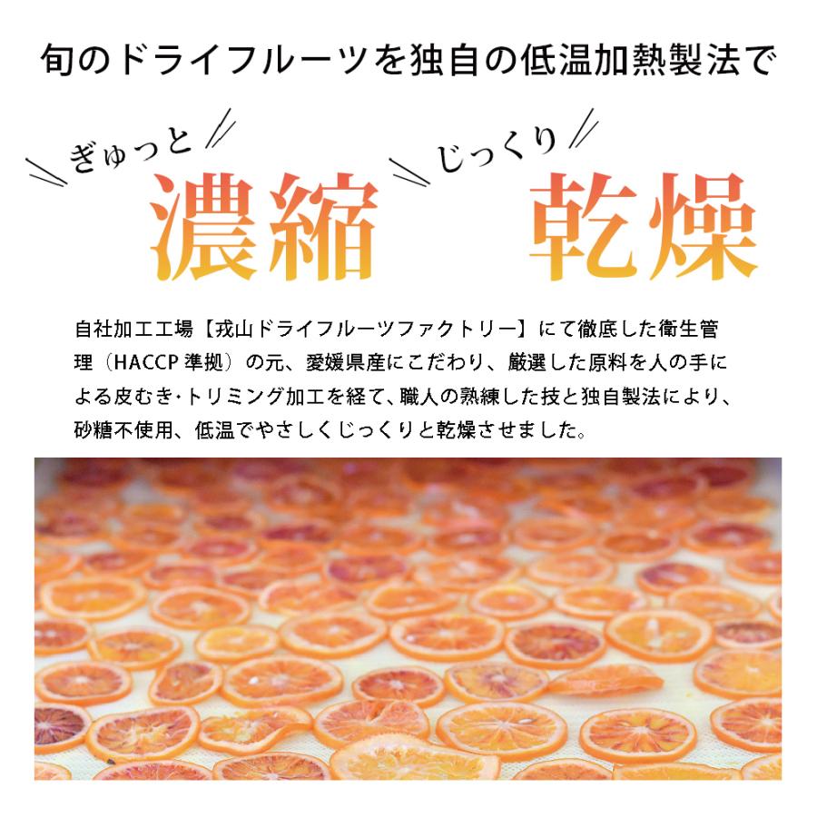 ドライフルーツ 食べ比べ11種セット 贈り物 お返し 国産 無添加 セミドライ 半生 10個包装 プレゼント ギフト おやつ 美容 健康 送料無料 げんき本舗｜rainbow-rainbow｜14