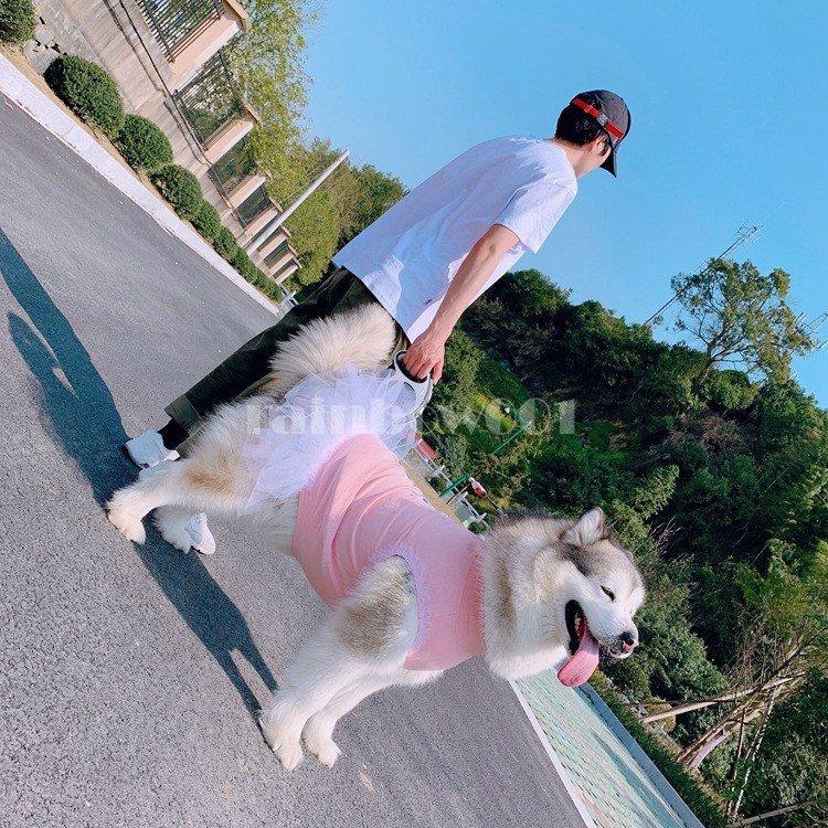 小型犬 中型犬 大型犬 ペットとお揃いの服 飼い主とお揃い服 夏服半袖シャツ ワンピース 犬の服 フリース トレイナー犬とオーナーお揃い ペアルック 猫とお揃 s Pet132 Rainbow一号店 通販 Yahoo ショッピング