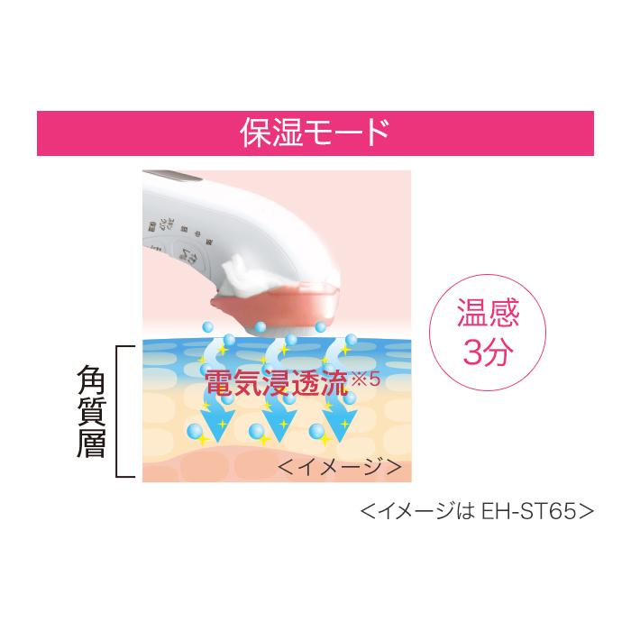 イオンエフェクター パナソニック Panasonic EH-ST66 導入美容器
