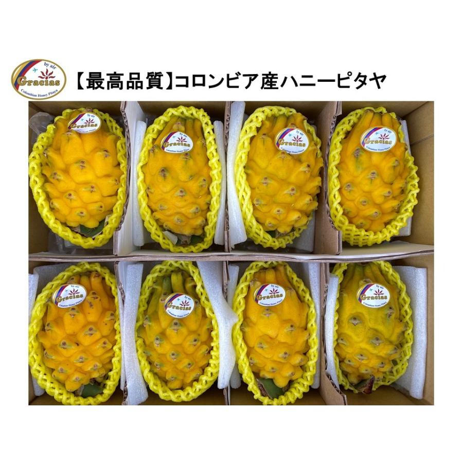 新着商品 グラシアス ハニーピタヤ コロンビア産 大玉８玉入 約2 5kg 超目玉 Iniciatupyme Cl