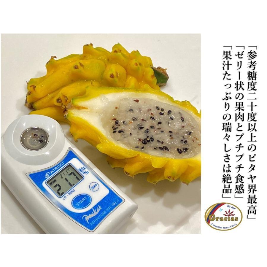 完売 入荷未定 希少 完熟品 ８ １０玉入 グラシアス ハニーピタヤ 麒麟果 送料込 Co Honey Pitaya 0 レインボーフレッシュ 通販 Yahoo ショッピング