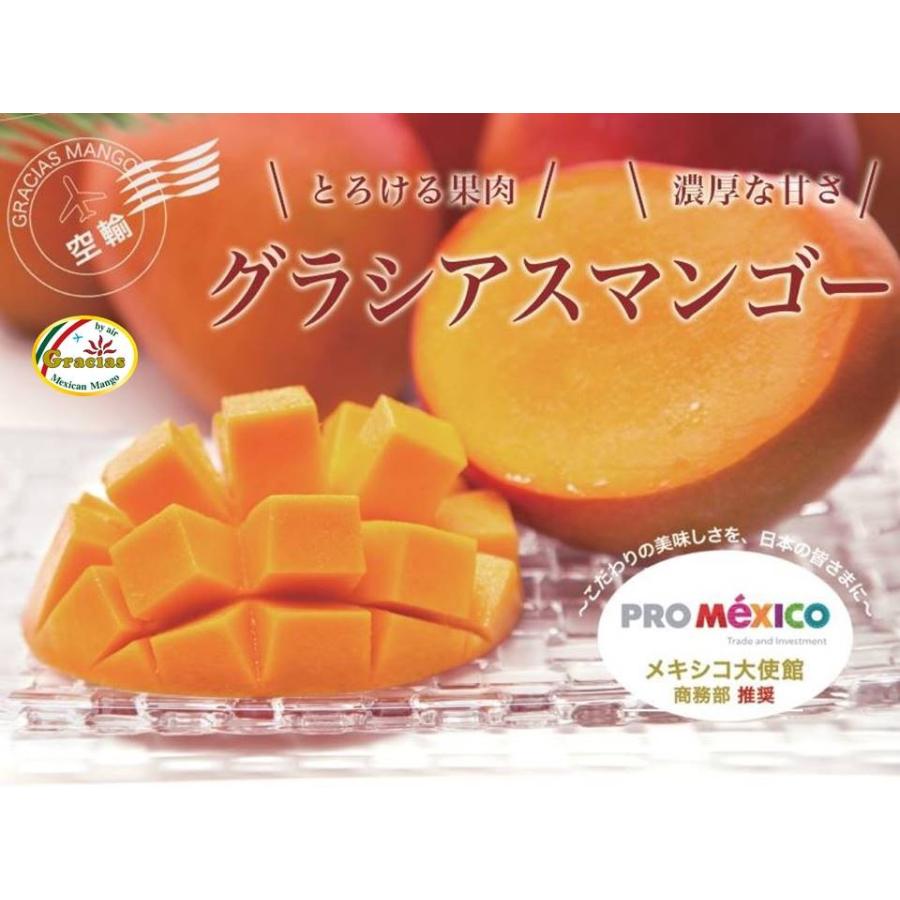 航空便 グラシアスマンゴー メキシコ産 ３ｌ特大４玉入 約２ｋｇ