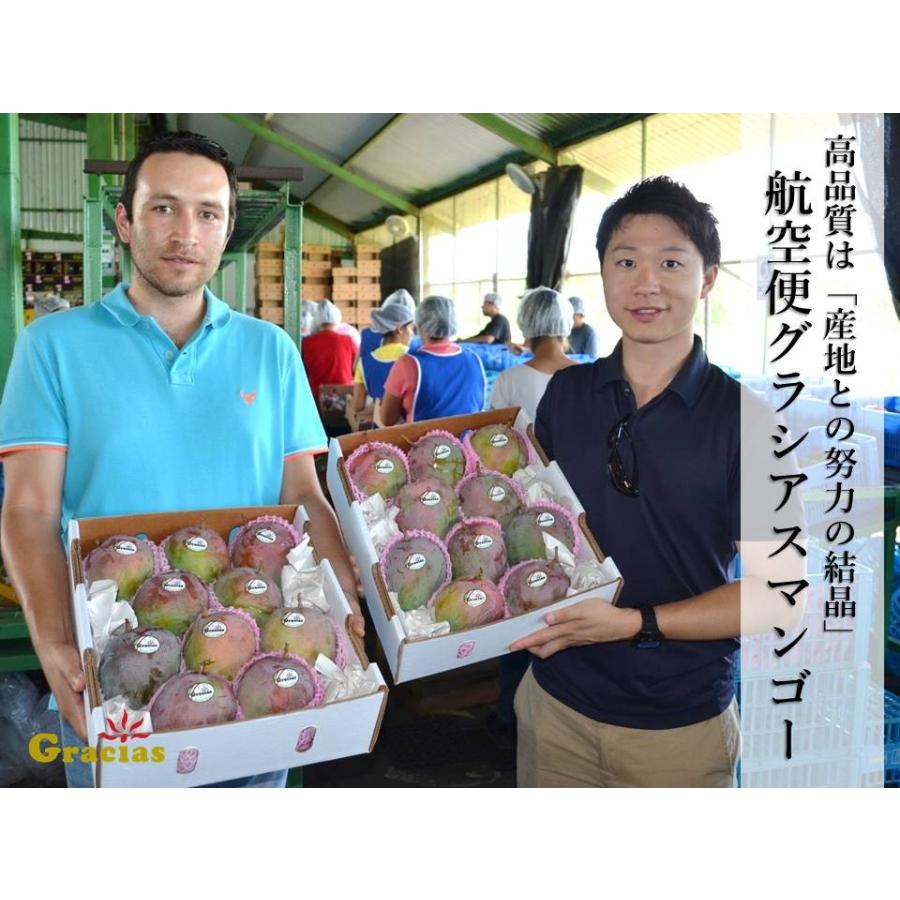 高品質 航空便 グラシアスマンゴー メキシコ産 約２ｋｇ ３ｌ特大４玉入