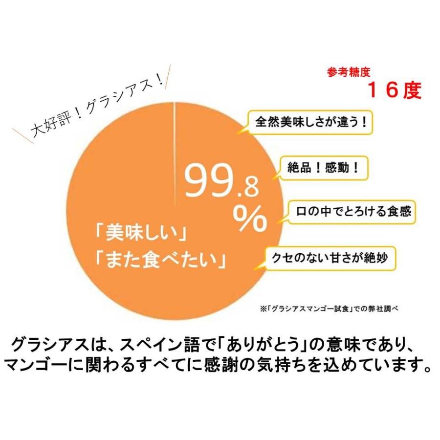 航空便 グラシアスマンゴー メキシコ産ケント種 ３ｌ特大６玉入 約３ｋｇ Mx Mango Kent 04 レインボーフレッシュ 通販 Yahoo ショッピング