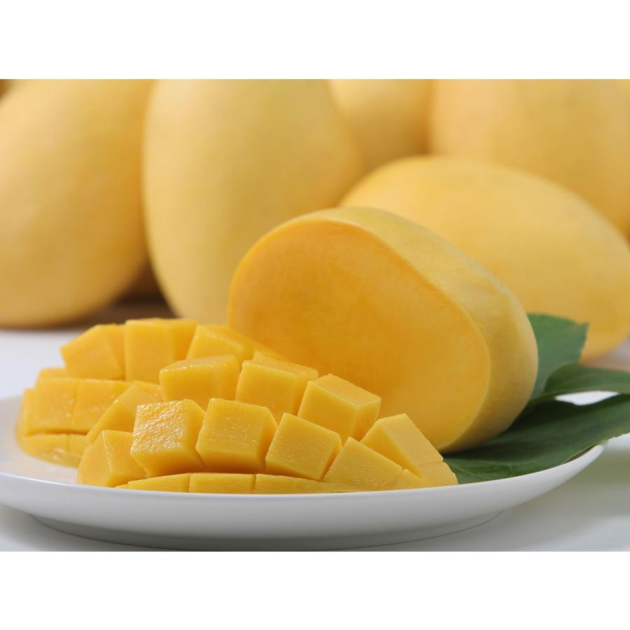 航空便 フィリピン産 マンゴー 食べごろ ２０ ２４玉 約５ｋｇ Ph Mango 01 レインボーフレッシュ 通販 Yahoo ショッピング
