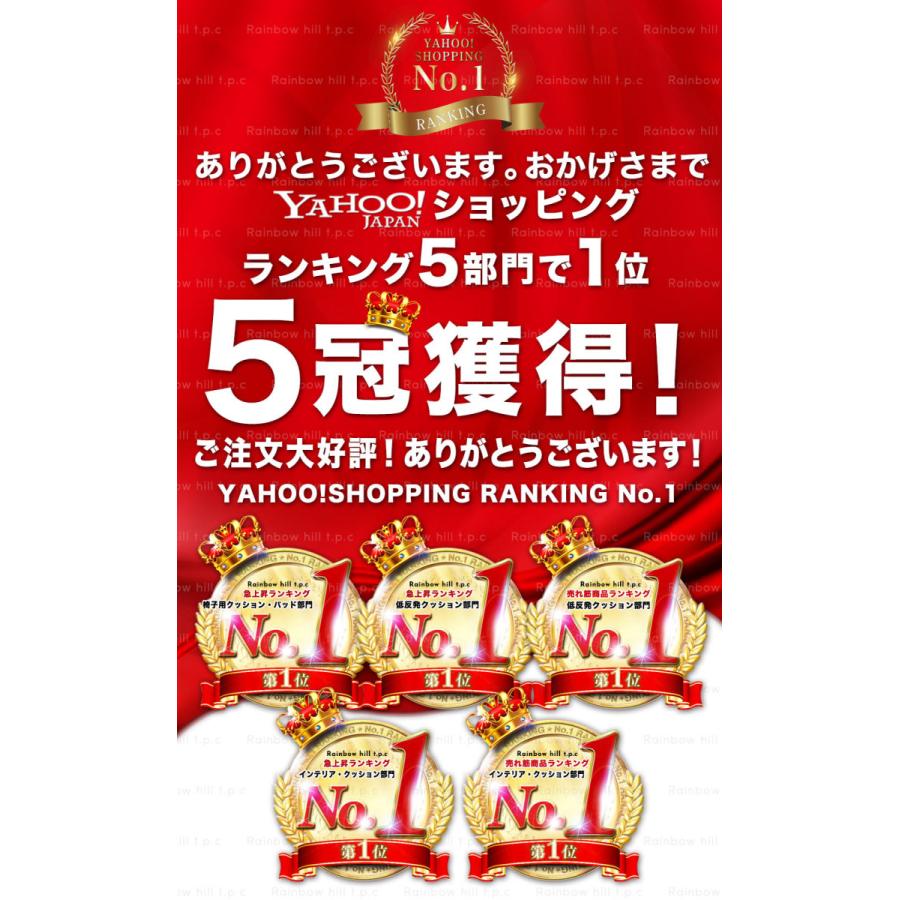 クッション 椅子用 イス 座布団 パッド 低反発 骨盤 在庫処分 送料無料 イス用クッション ドライブ 姿勢矯正 お尻 骨盤矯正 デスクワーク 車 ぎっくり腰 オフィス 腰痛