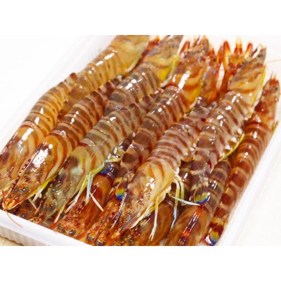 活〆急速冷凍車海老 500g 10 14尾入 久米島より直送 Rainbow Mart Paypayモール 通販 Paypayモール