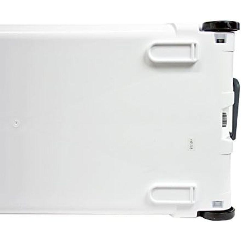 伸和(SHINWA) ホリデーランドクーラー48H 48H ホワイト ホワイト SHINWA ホリデーランドクーラー48H 48H