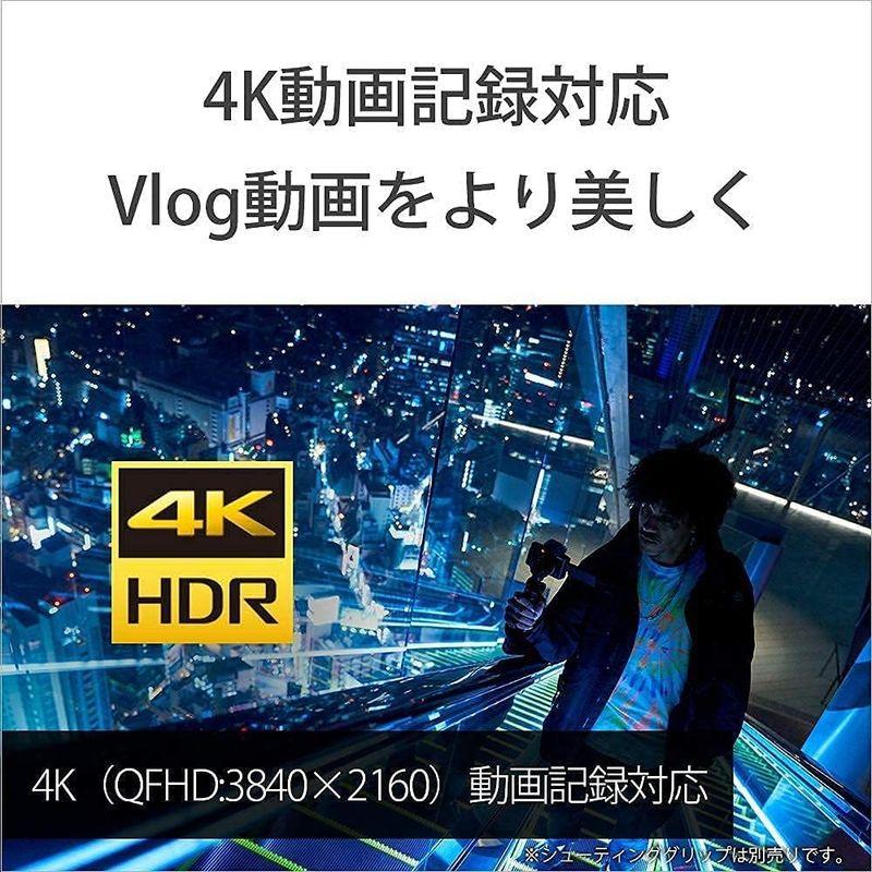 【クーポン】 ソニー / Vlog用カメラ / VLOGCAM / デジタルカメラ / ZV-1 / ボディ / ウィンドスクリーン付属 / 24-70m 【LW1043930073】(37597円)