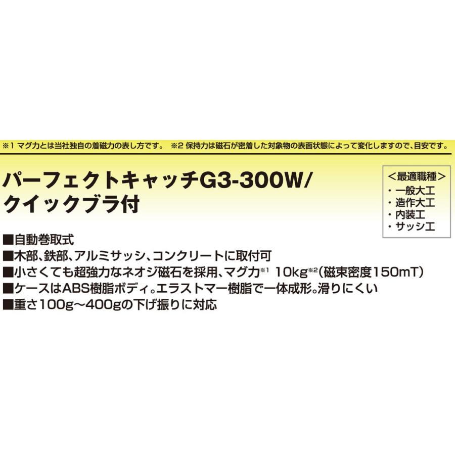 Tajima Perfect Catch G3-300W Swing Net | 3 Meter Height Game For Parties & Halloween (Japan Import)