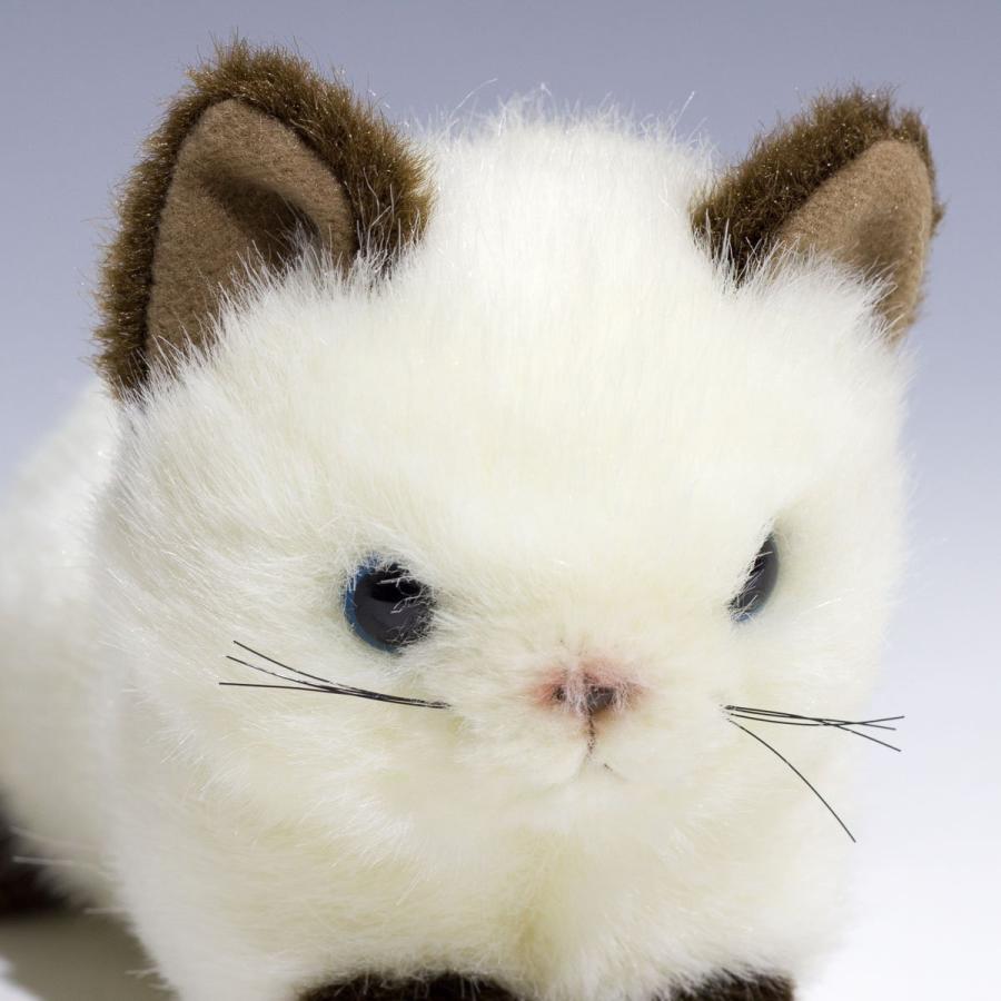 たけのこ プチどりーむ ミニ A シャムネコ ぬいぐるみ 95029 : Rainbow