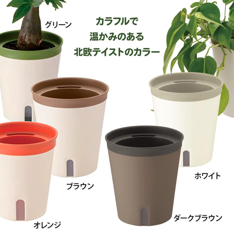リッチェル 底面給水鉢 ミエルノPlus ポット 15型N ホワイト 700931 土